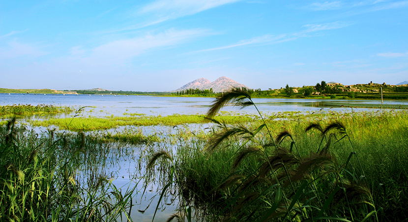 莲青山风光.jpg