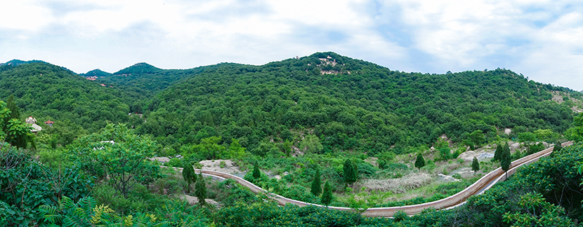 层峦叠翠莲青山-贾鹏.jpg